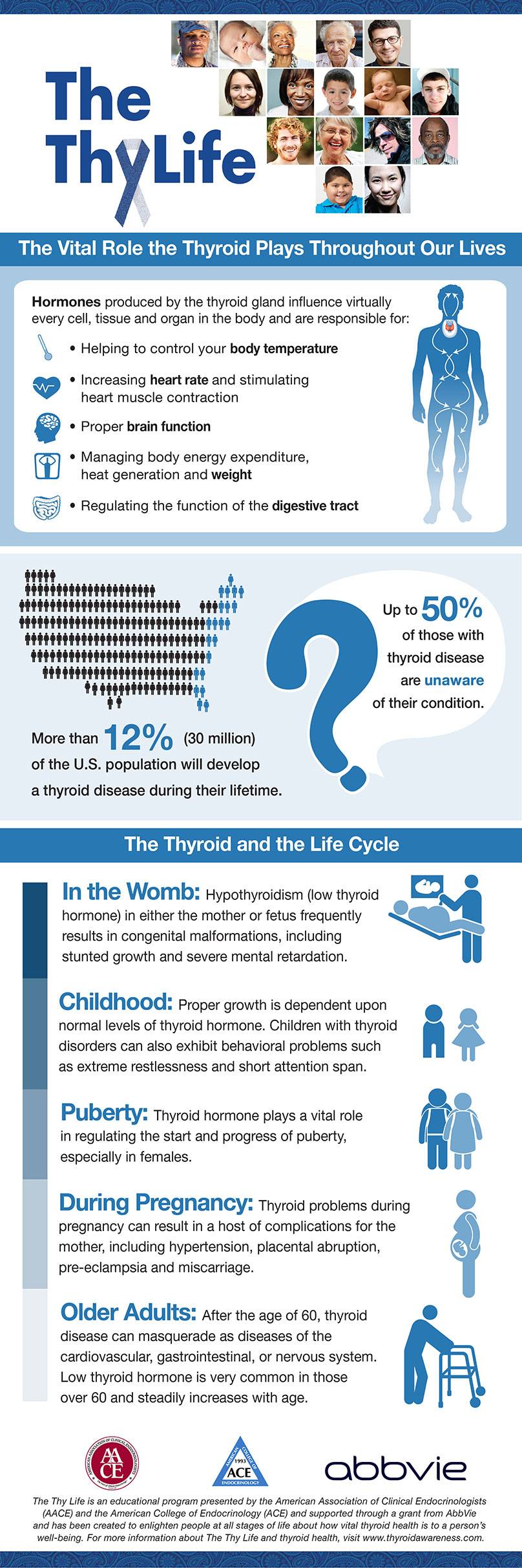 Thyroid Infographic