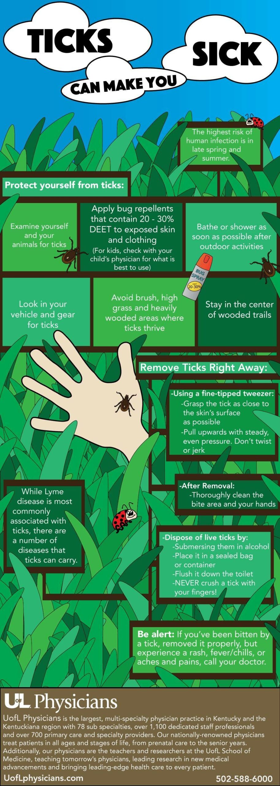 Infographic about ticks and how to deal with them