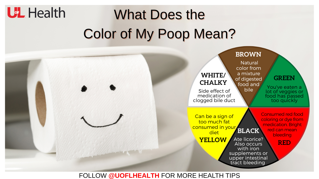 Poop Color Wheel