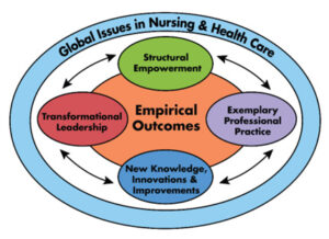 GLOBAL ISSUES IN NURSING AND HEALTH CARE