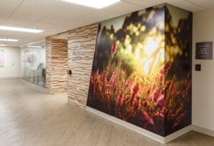 trager transplant center trager transplant center