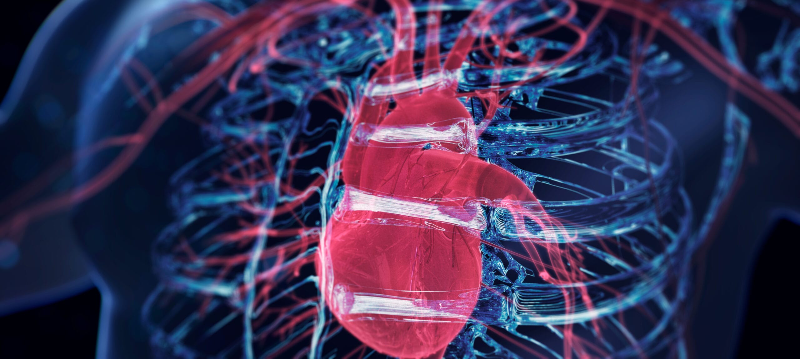 Blue holographic human body and close-up red heart.