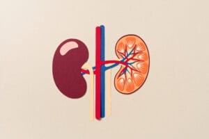 Kidneys Kidney Transplant